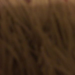 Meet your Posher, Gary